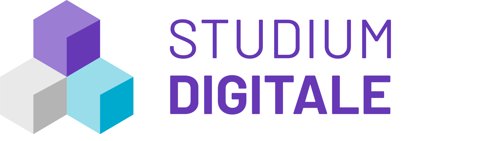 StudiumDigitale Logo