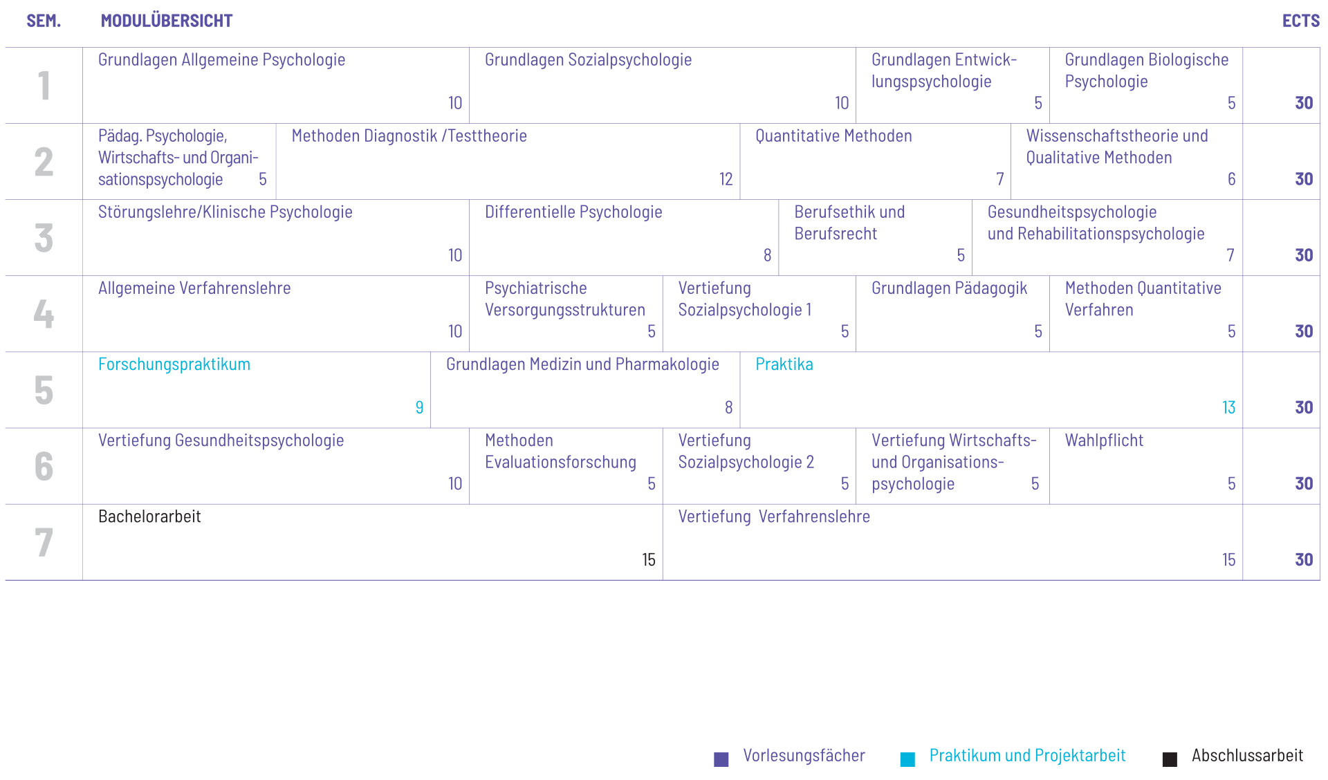 Studienplan Vorschau
