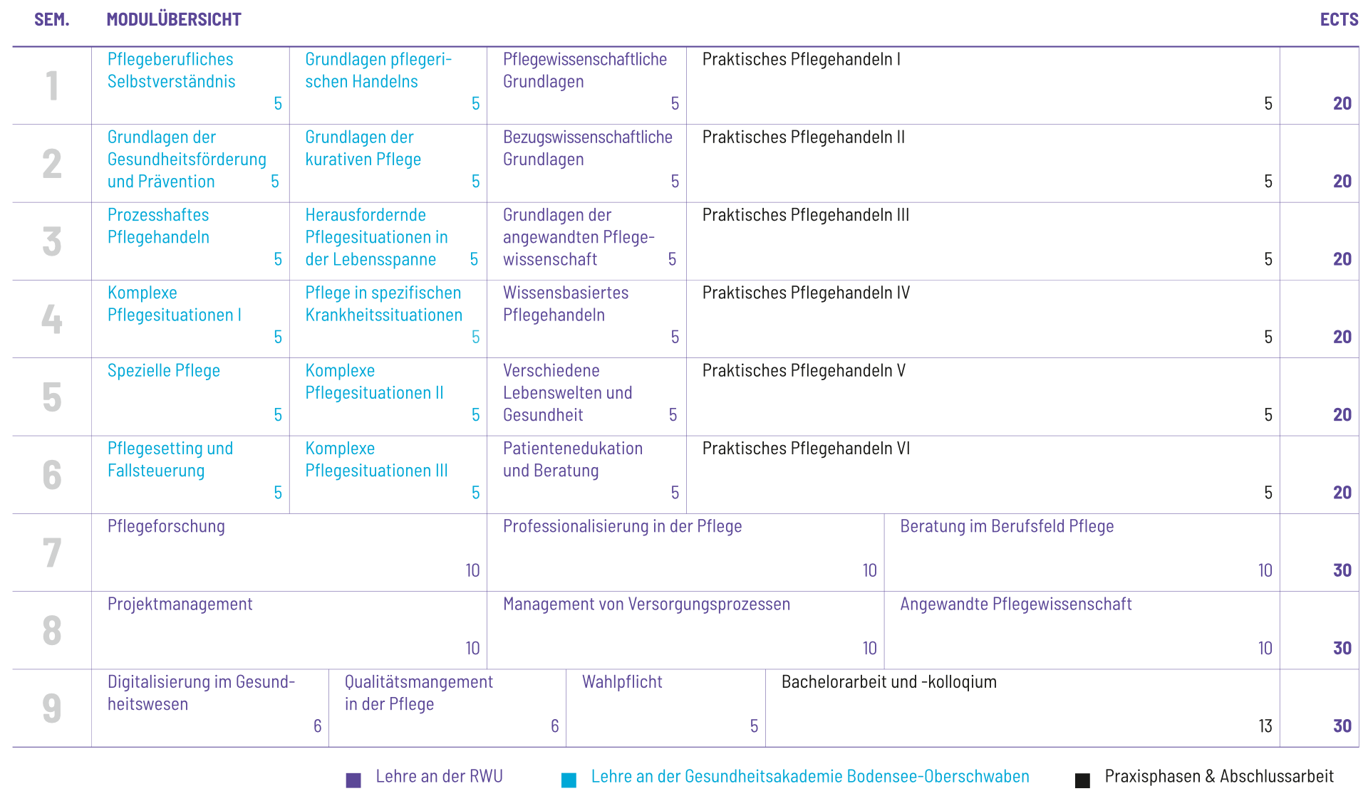 Studienplan Vorschau