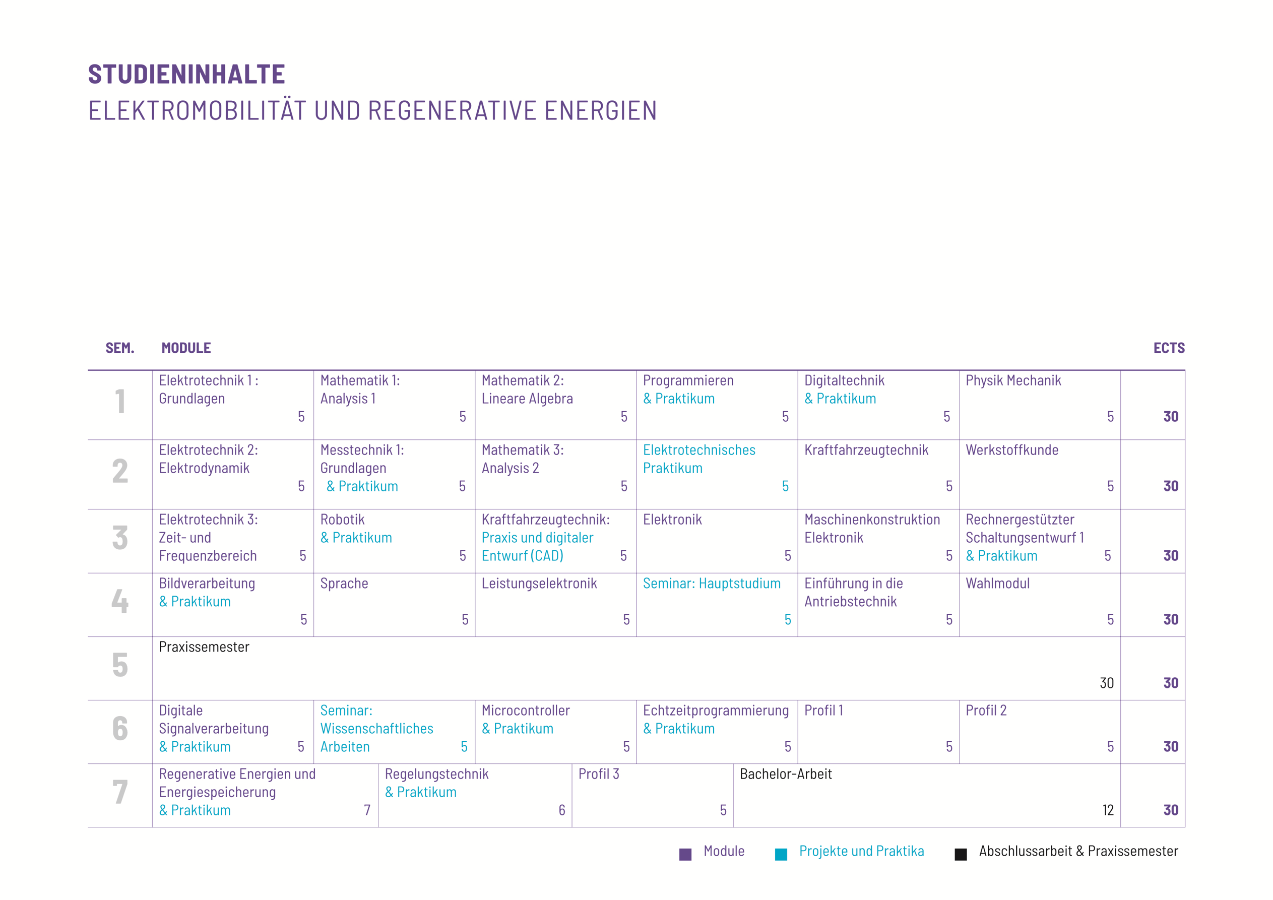 Studienplan Vorschau