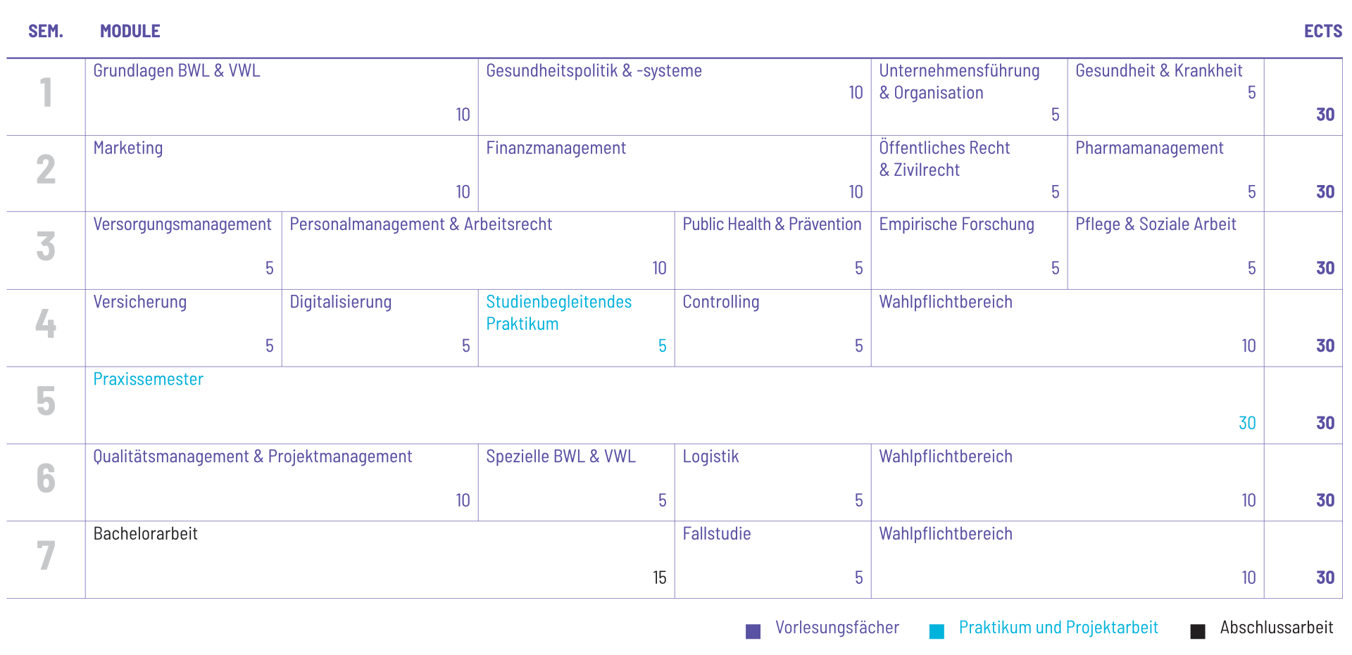 Studienplan Vorschau