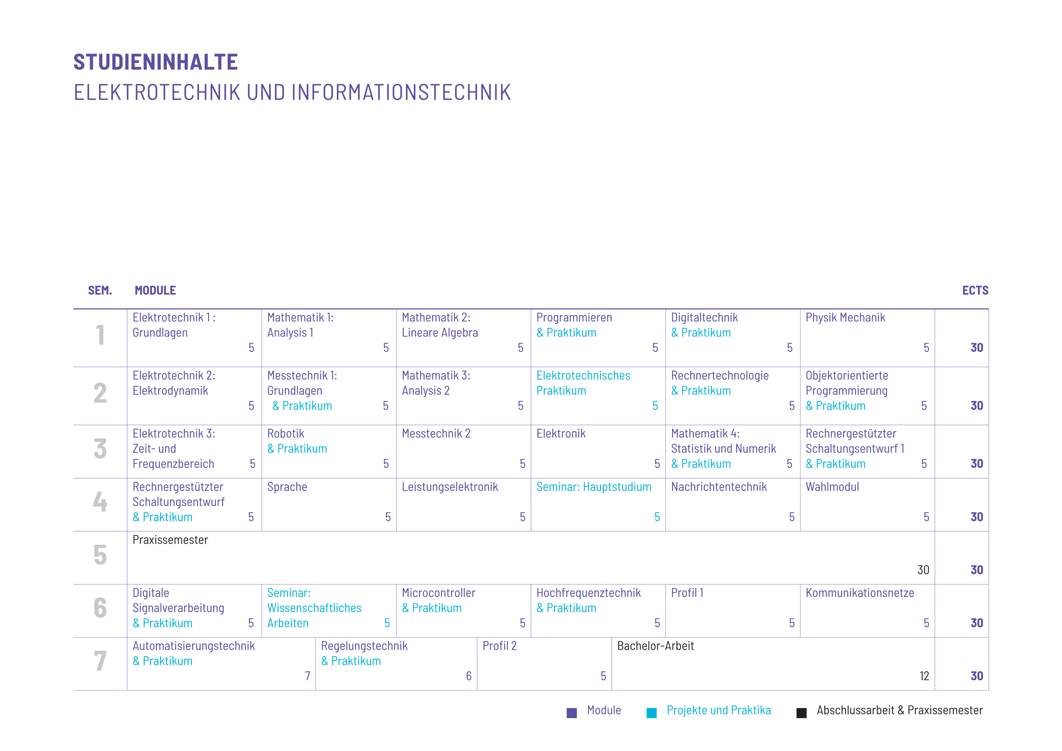 Studienplan Vorschau