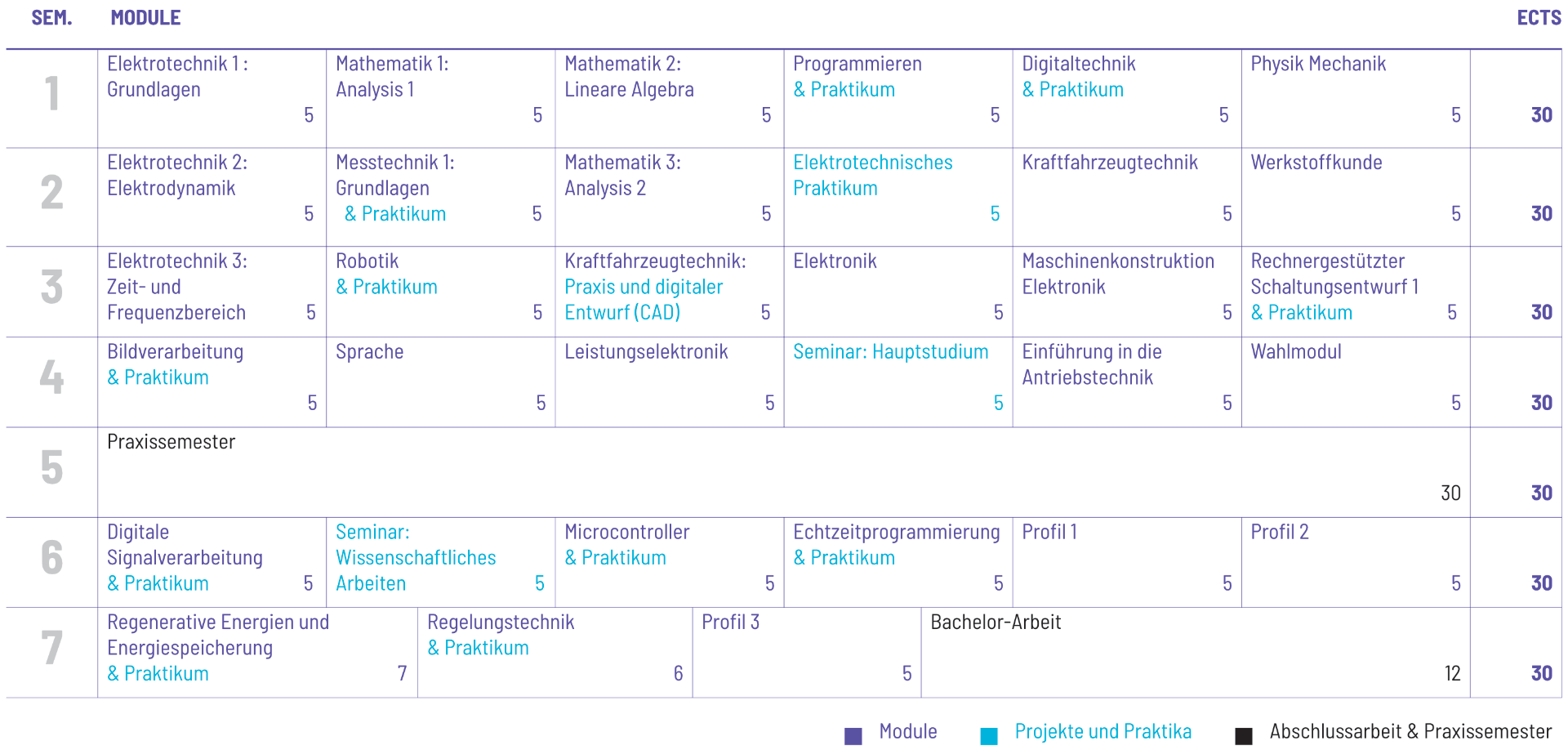 Studienplan Vorschau