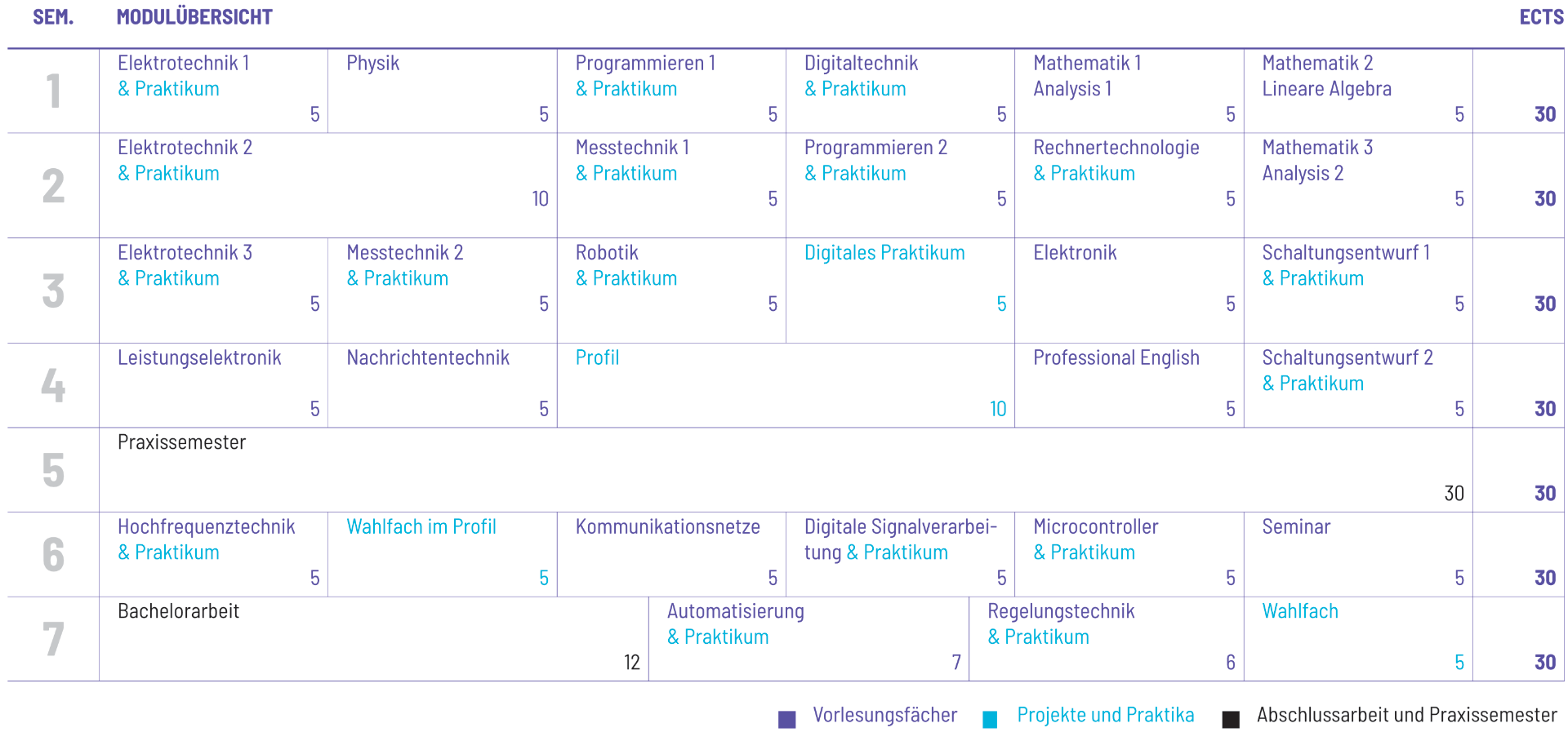 Studienplan Vorschau