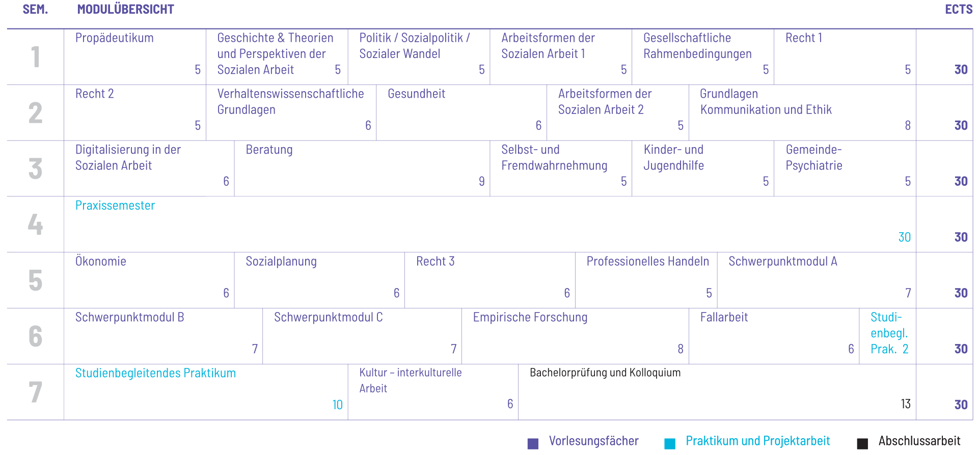 Studienplan Vorschau