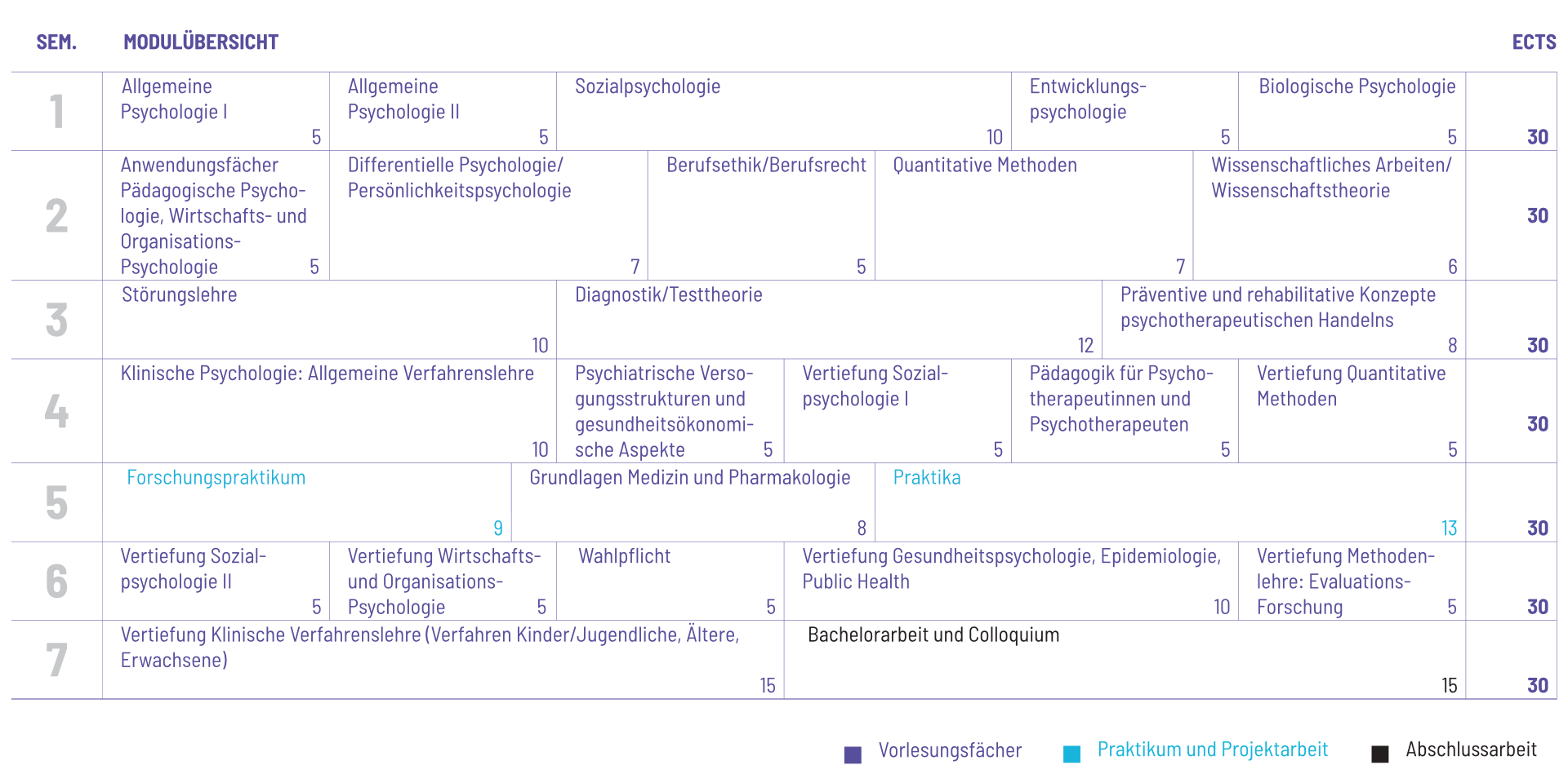 Studienplan Vorschau