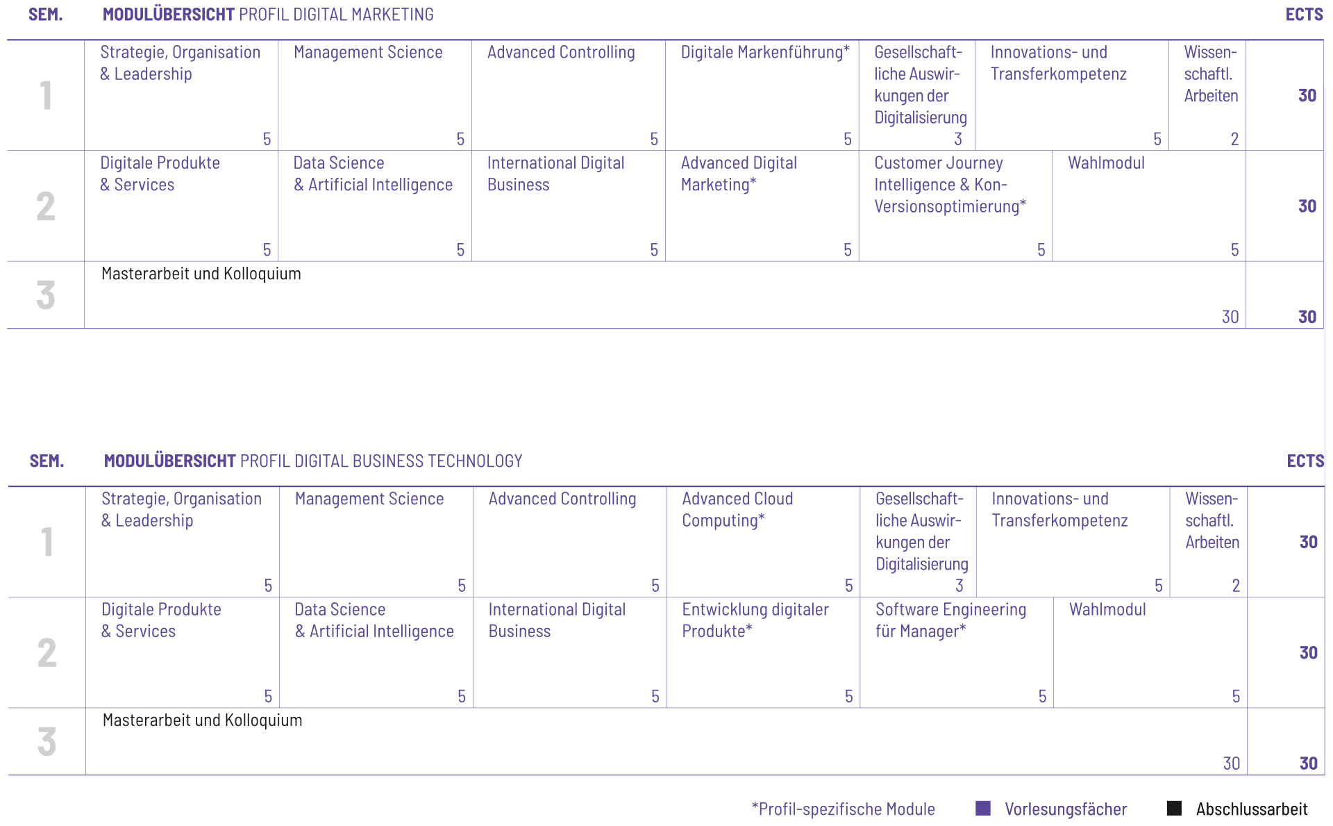 Studienplan Vorschau