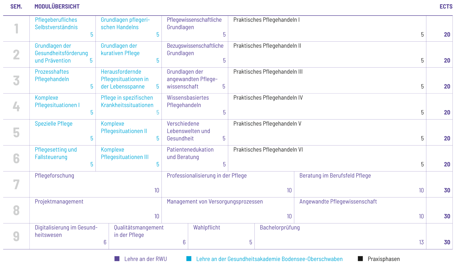 Studienplan Vorschau