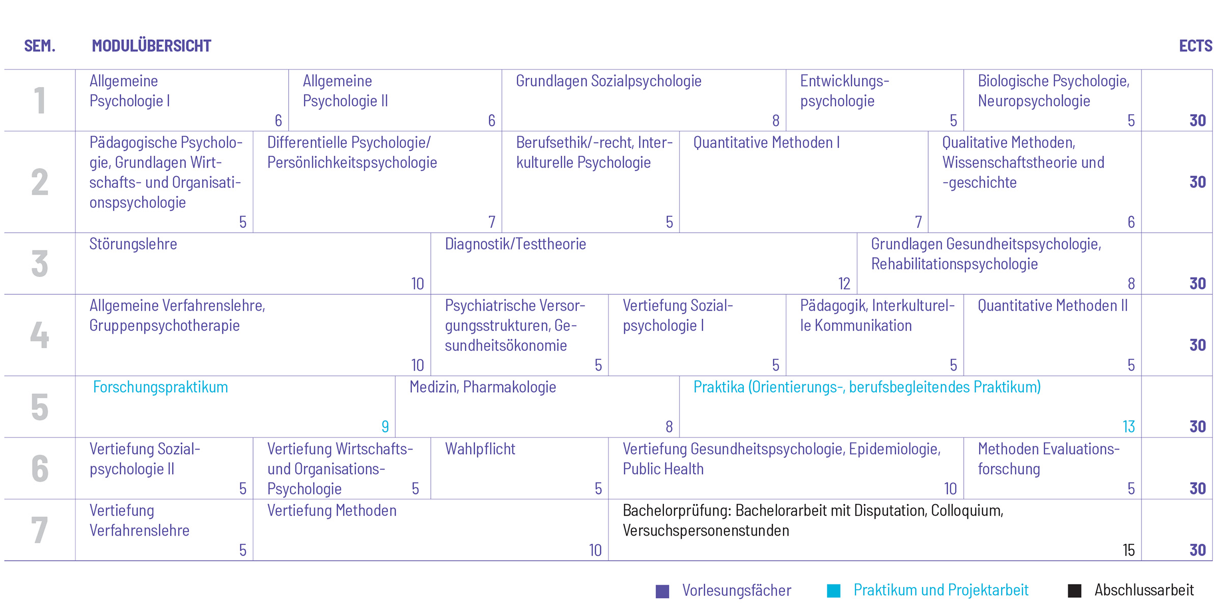 Studienplan Vorschau