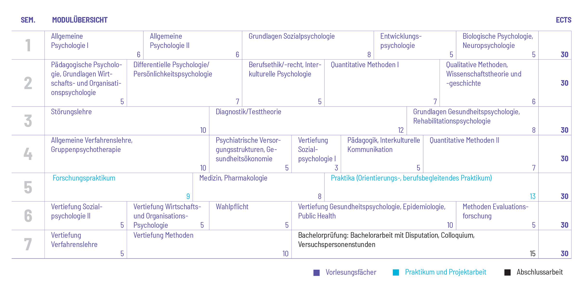 Studienplan Vorschau