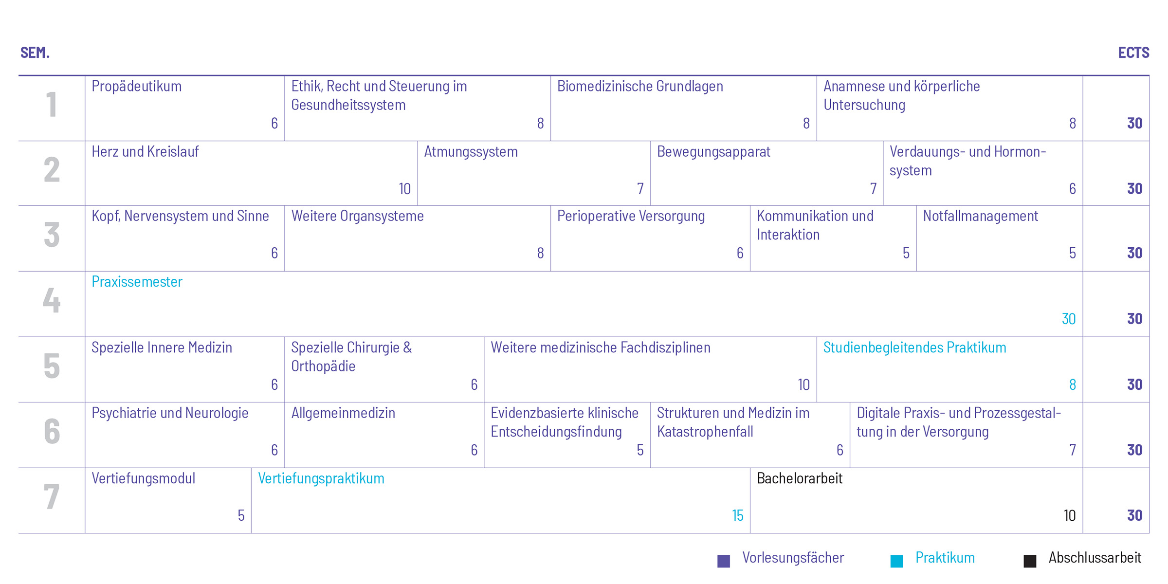 Studienplan Vorschau