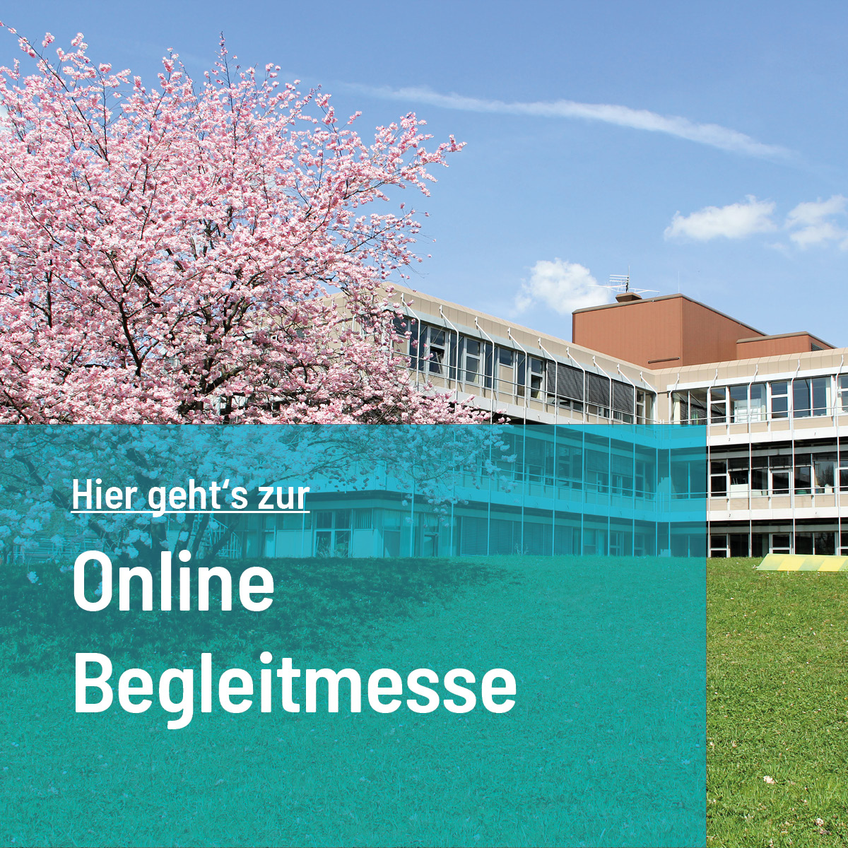 Online-Begleitmesse