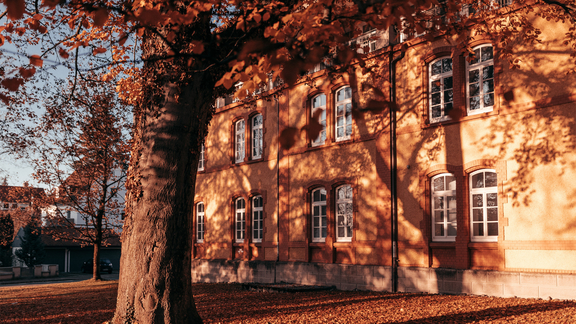 Campus im Herbst.