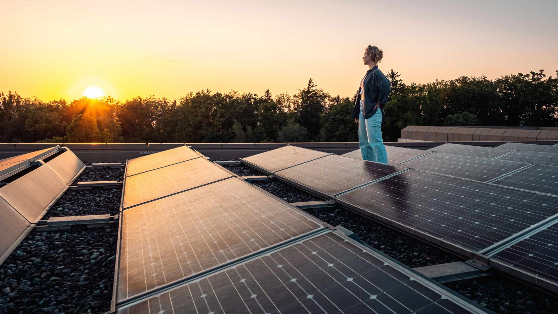 Studentin der RWU steht auf dem Dach eines Hochschulgebäudes und blickt beim Sonnenuntergang über Solarpanels hinweg in die Ferne.