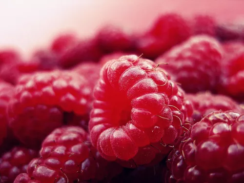 Nahaufnahme von Himbeeren