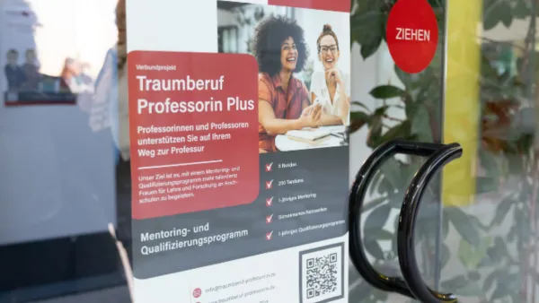 Infoplakat Traumberuf Professorin Plus