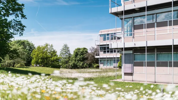 RWU-Hauptgebäude neben einer Wiese voller Wildblumen, umgeben von Bäumen unter einem klaren blauen Himmel.