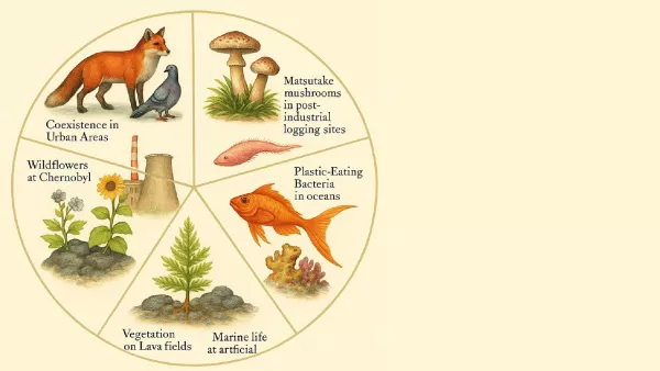 Neuer Materialismus