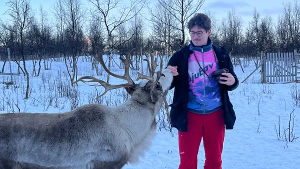 RWU-Student während seines Auslandssemesters in Schweden mit einem Rentier