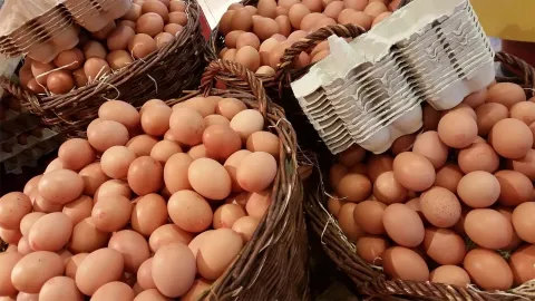 Körbe mit Hühnereiern