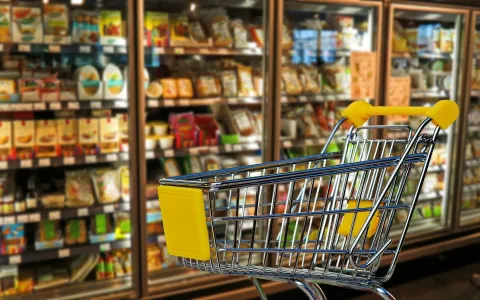 Einkaufswagen vor Kühlregal