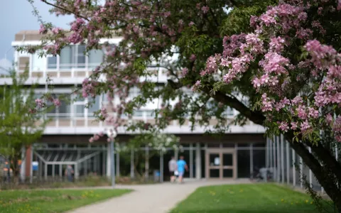 Frühling H-Geb.