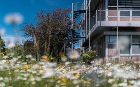 Frühling_H-Geb