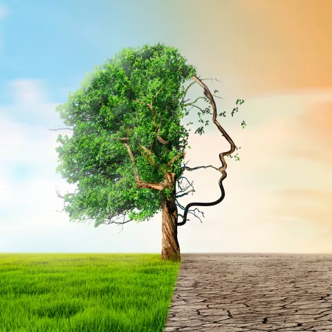 Klimawandel Zukunft Gerechtigkeit