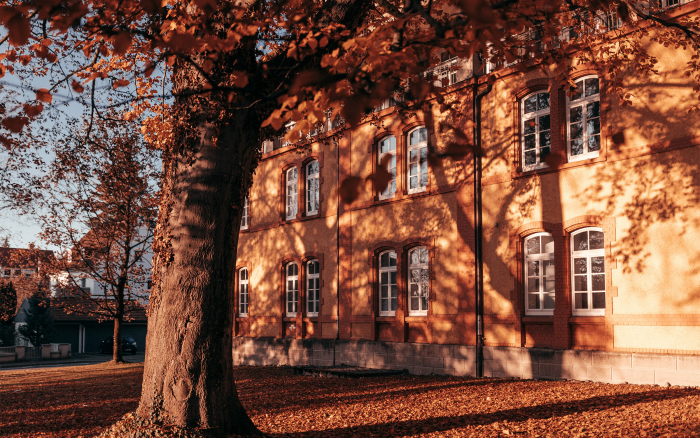 Campus im Herbst.